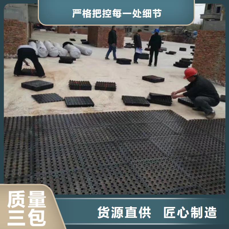 塑料排水板_凸结点钢塑土工格栅诚信商家服务热情