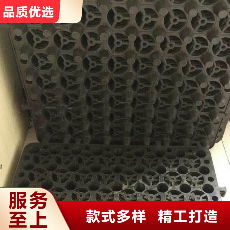塑料排水板_凸结点钢塑土工格栅诚信商家服务热情