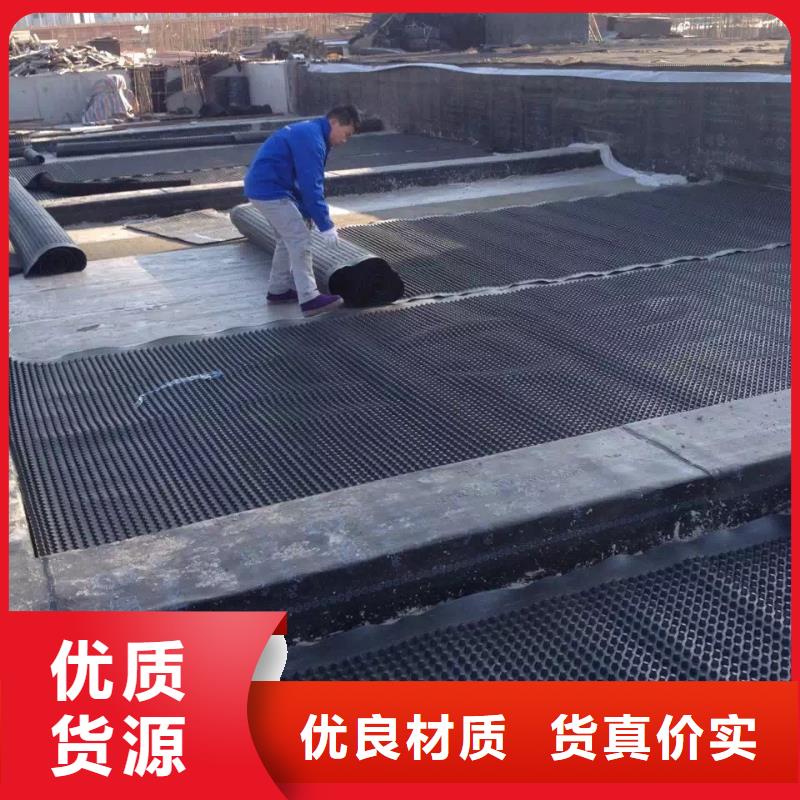 塑料排水板_凸结点钢塑土工格栅诚信商家服务热情