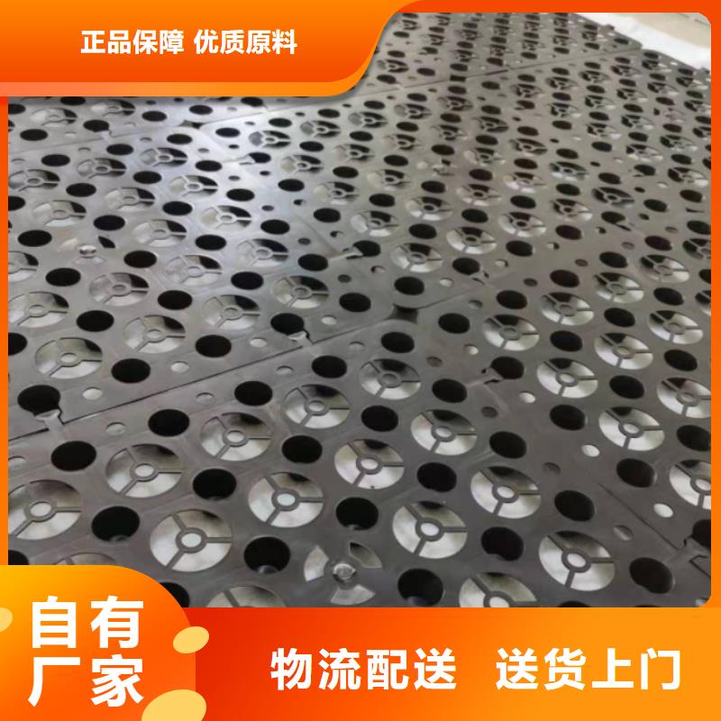 塑料排水板_凸结点钢塑土工格栅诚信商家服务热情