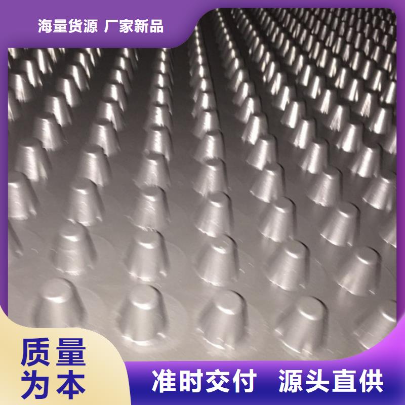 塑料排水板_凸结点钢塑土工格栅诚信商家服务热情