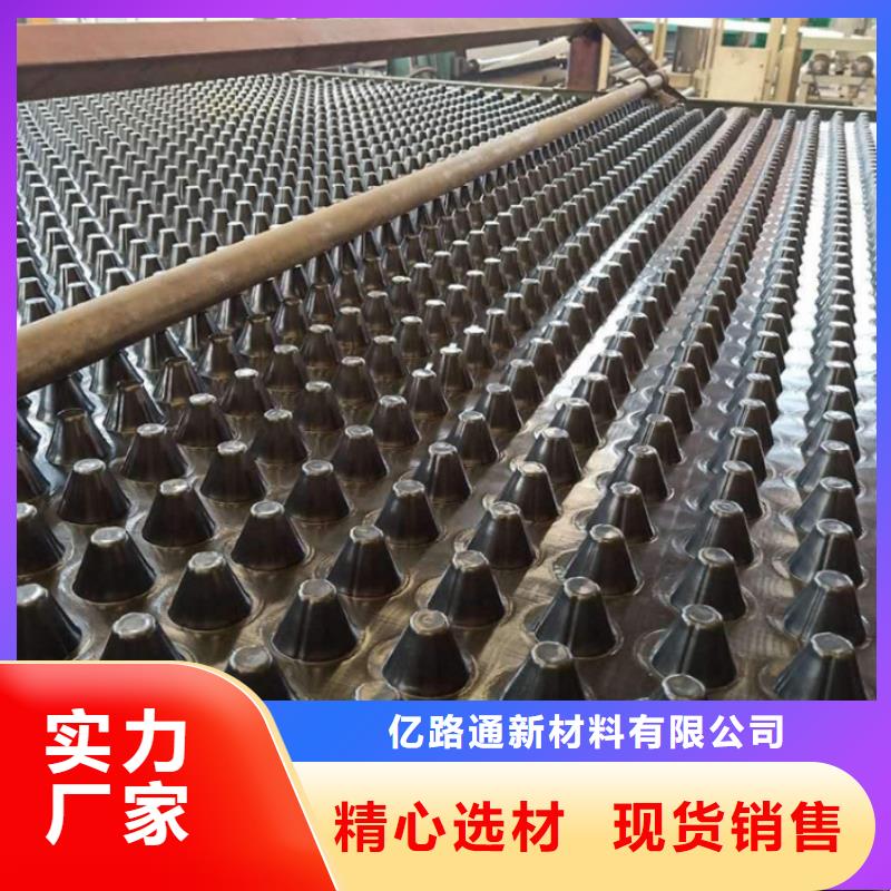 塑料排水板_凸结点钢塑土工格栅诚信商家服务热情