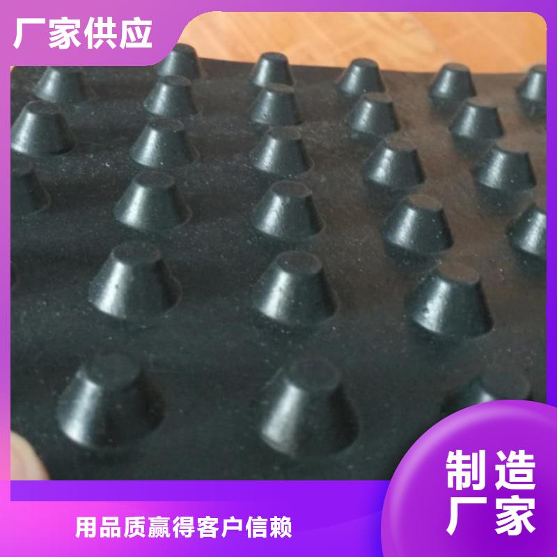 塑料排水板_凸结点钢塑土工格栅诚信商家服务热情