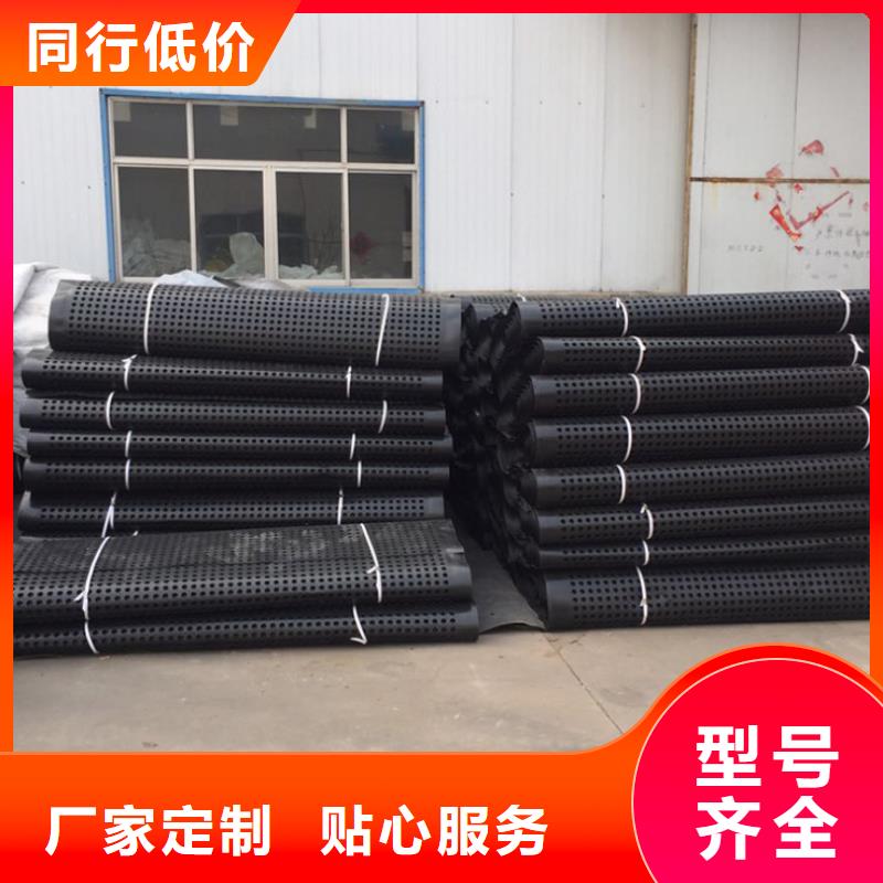 塑料排水板_凸结点钢塑土工格栅诚信商家服务热情