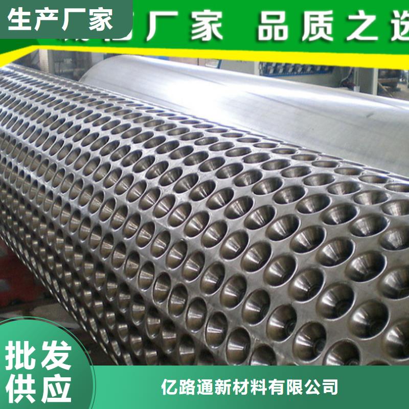 塑料排水板_凸结点钢塑土工格栅诚信商家服务热情