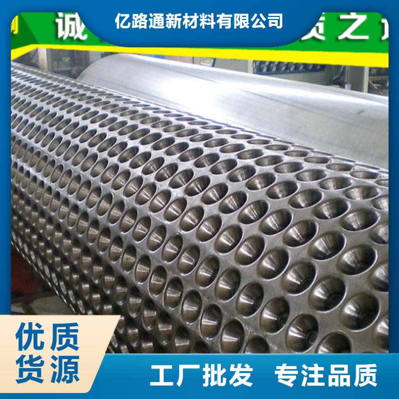 塑料排水板_凸结点钢塑土工格栅诚信商家服务热情