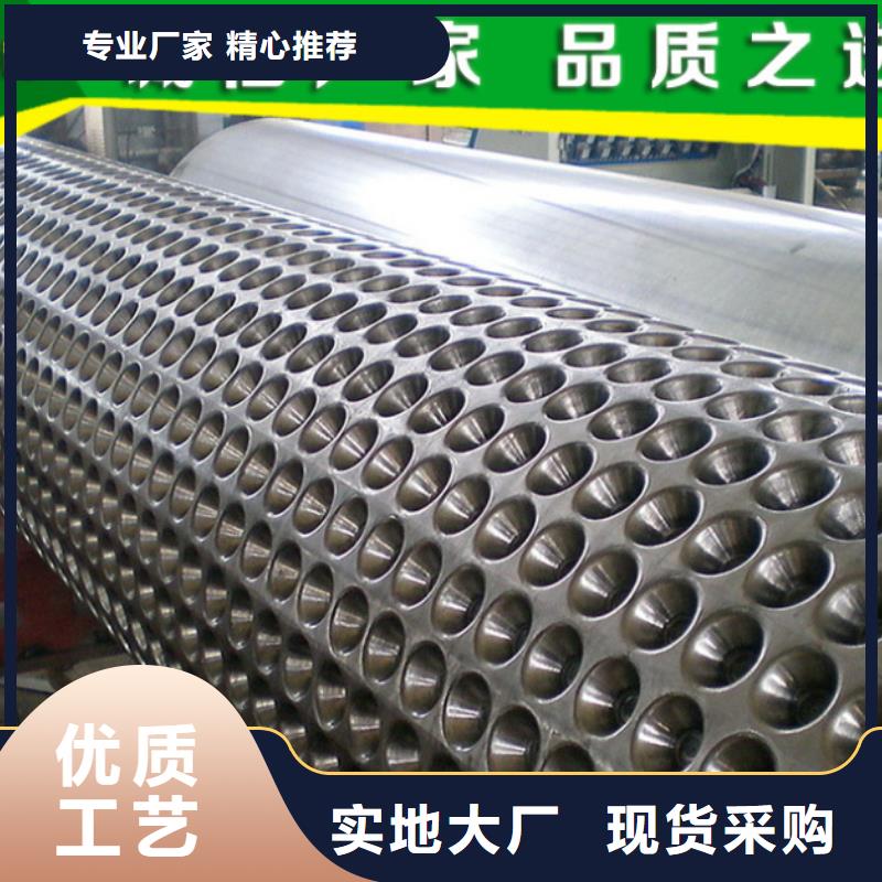 塑料排水板_凸结点钢塑土工格栅诚信商家服务热情