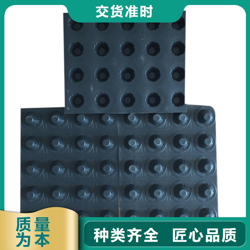 塑料排水板_凸结点钢塑土工格栅诚信商家服务热情
