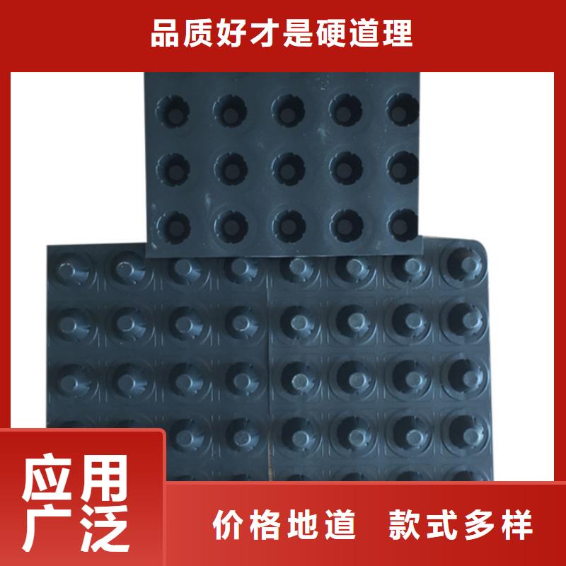 塑料排水板_凸结点钢塑土工格栅诚信商家服务热情