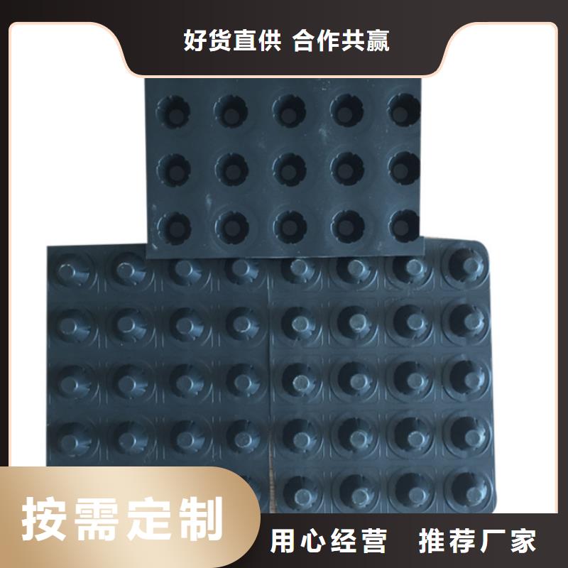 塑料排水板_凸结点钢塑土工格栅诚信商家服务热情