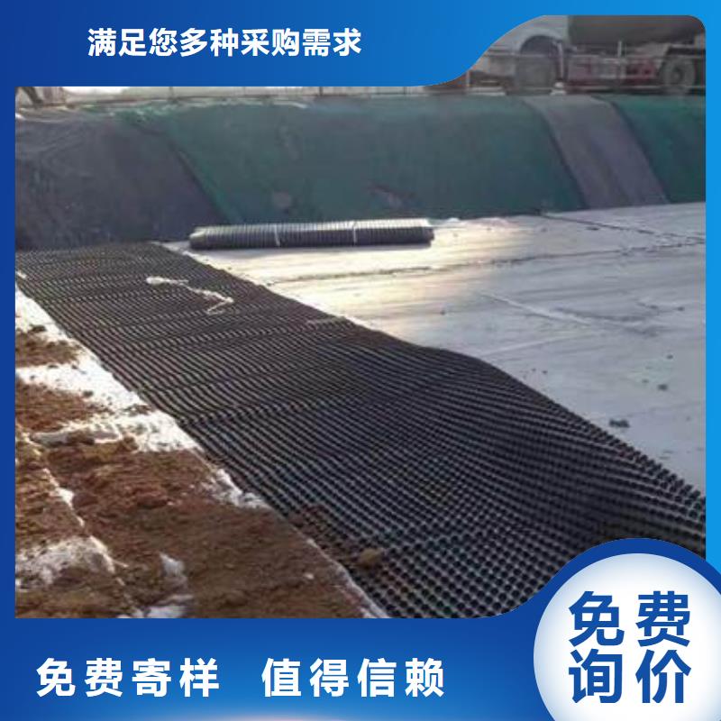 塑料排水板_凸结点钢塑土工格栅诚信商家服务热情