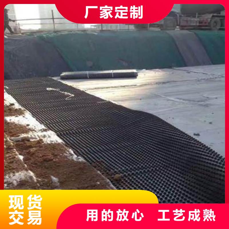 塑料排水板_凸结点钢塑土工格栅诚信商家服务热情