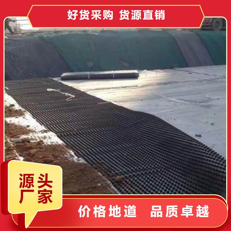 塑料排水板_凸结点钢塑土工格栅诚信商家服务热情