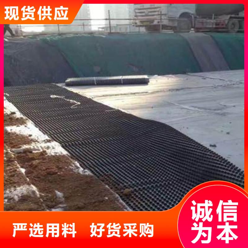 塑料排水板_凸结点钢塑土工格栅诚信商家服务热情