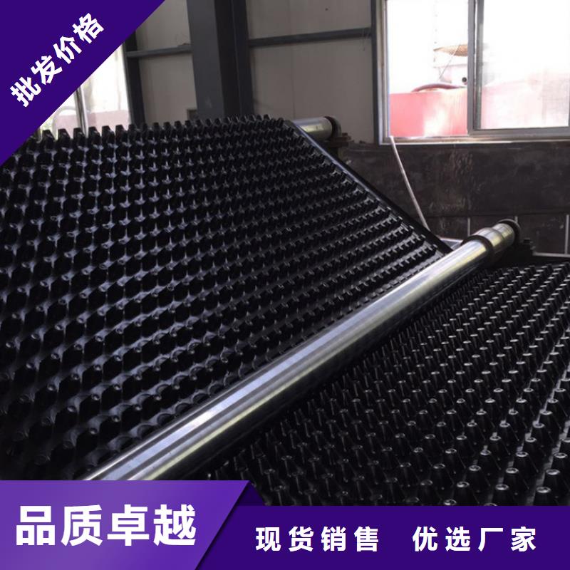 塑料排水板_凸结点钢塑土工格栅诚信商家服务热情