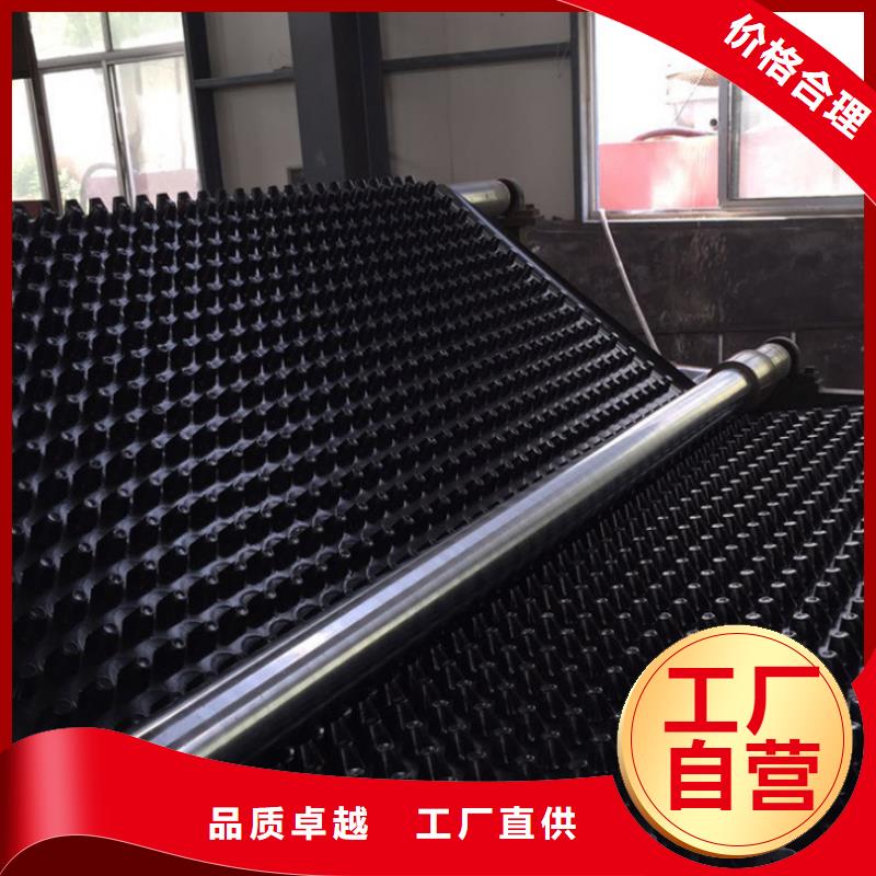 塑料排水板_凸结点钢塑土工格栅诚信商家服务热情