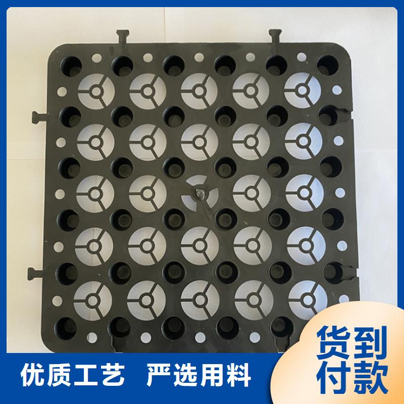 塑料排水板_凸结点钢塑土工格栅诚信商家服务热情
