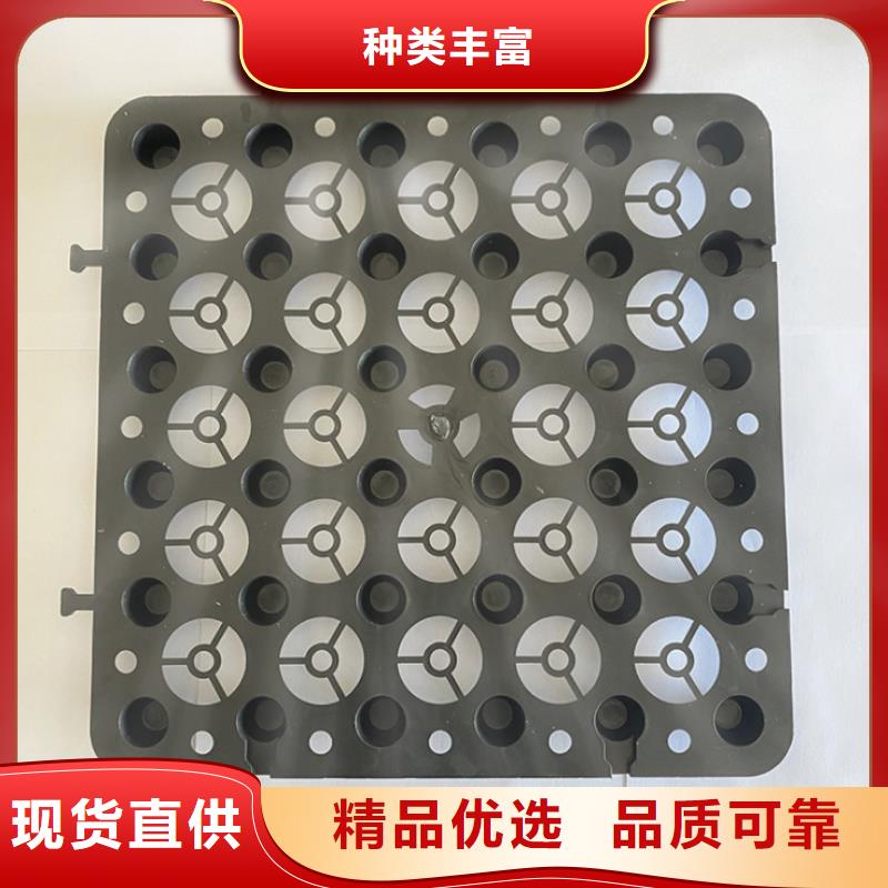 塑料排水板_凸结点钢塑土工格栅诚信商家服务热情