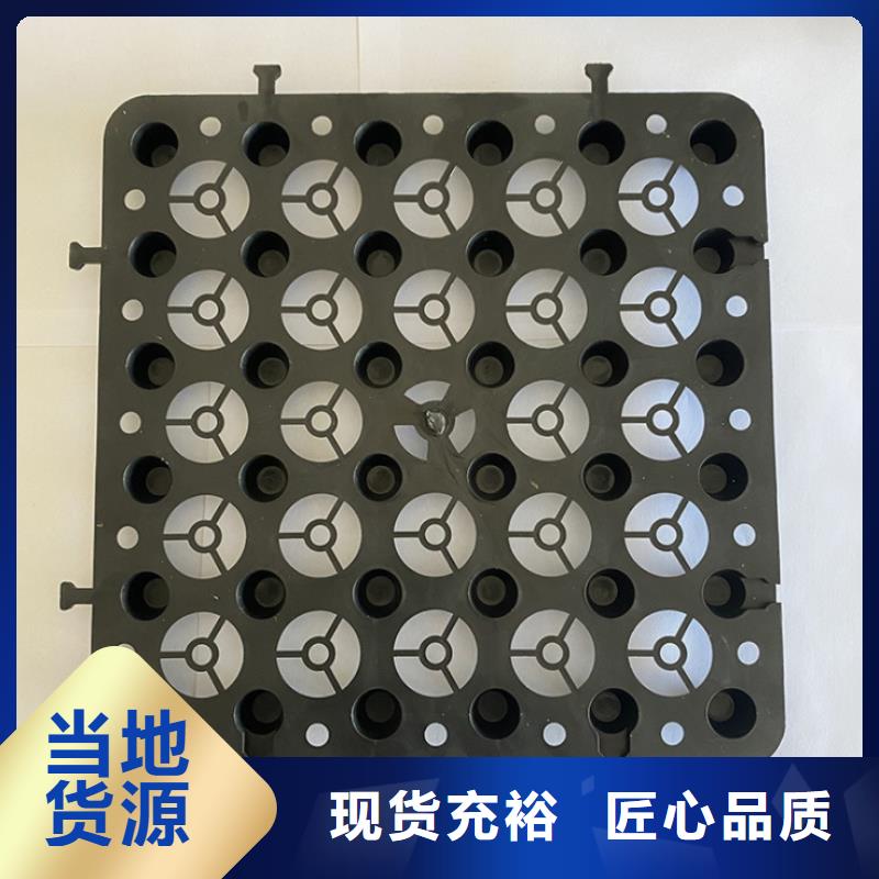 塑料排水板_凸结点钢塑土工格栅诚信商家服务热情