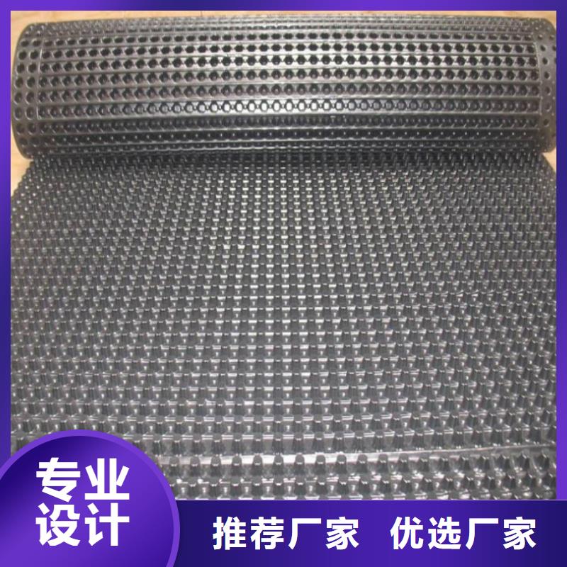 塑料排水板_凸结点钢塑土工格栅诚信商家服务热情