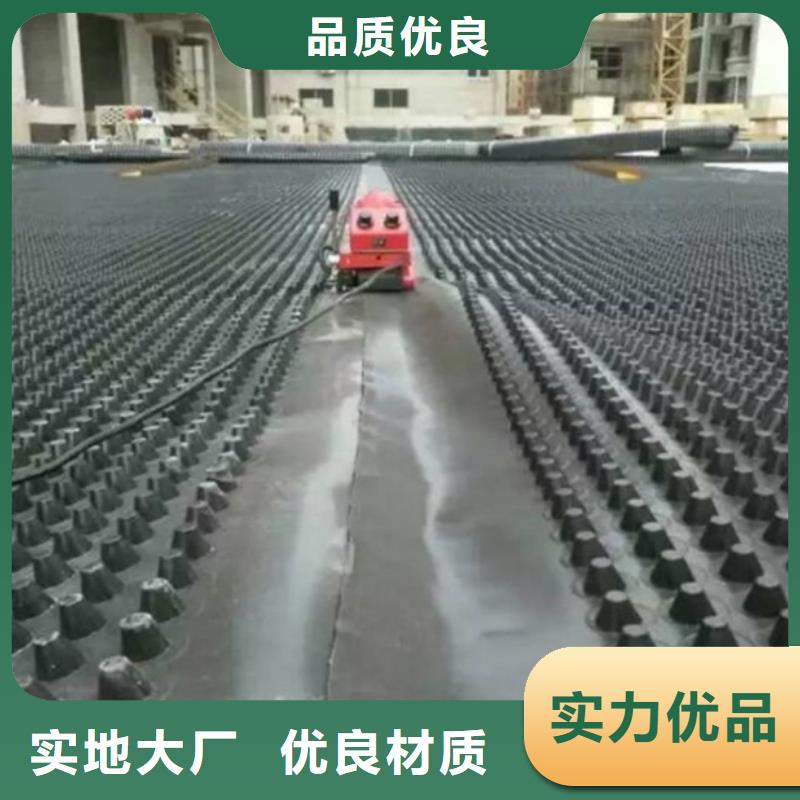 塑料排水板_凸结点钢塑土工格栅诚信商家服务热情