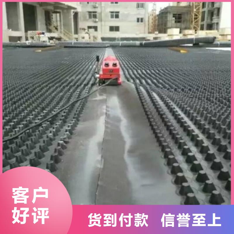 塑料排水板_凸结点钢塑土工格栅诚信商家服务热情