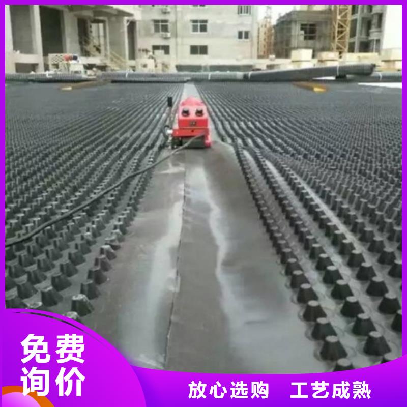 塑料排水板_凸结点钢塑土工格栅诚信商家服务热情