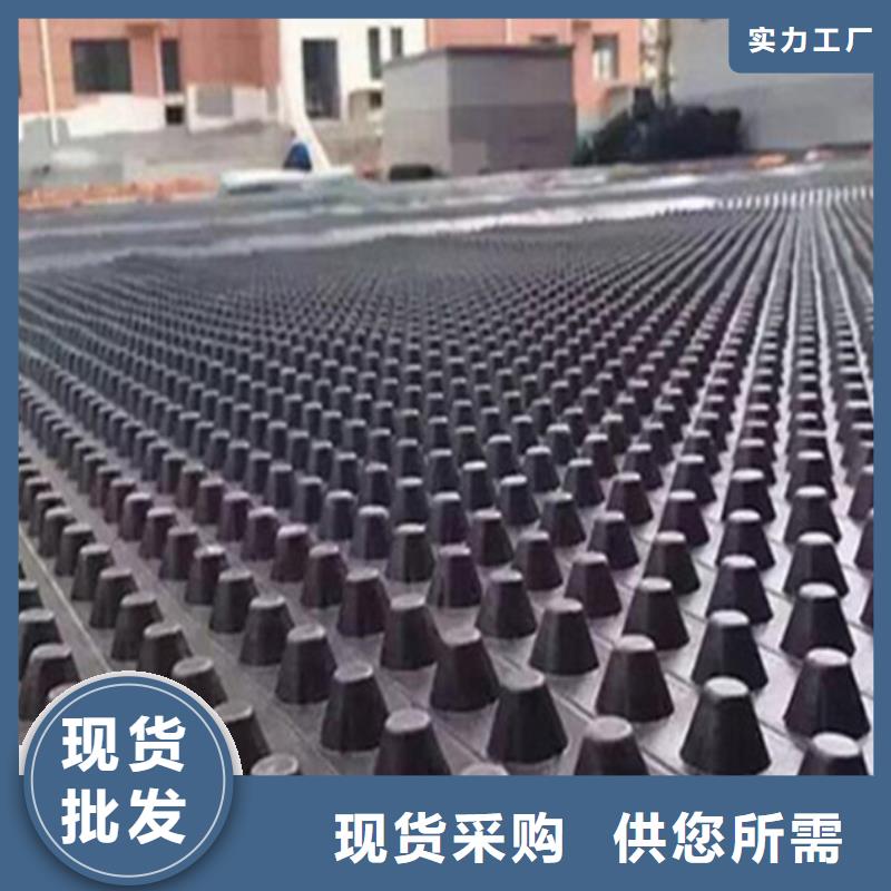 塑料排水板_凸结点钢塑土工格栅诚信商家服务热情