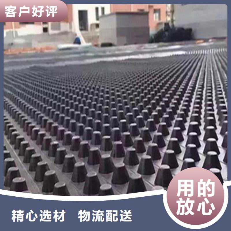 塑料排水板_凸结点钢塑土工格栅诚信商家服务热情