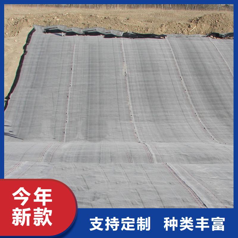 防水毯钢塑土工格栅厂家专注产品质量与服务