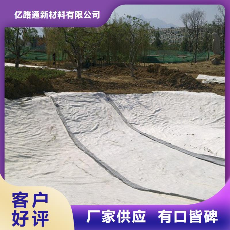 防水毯钢塑土工格栅厂家专注产品质量与服务
