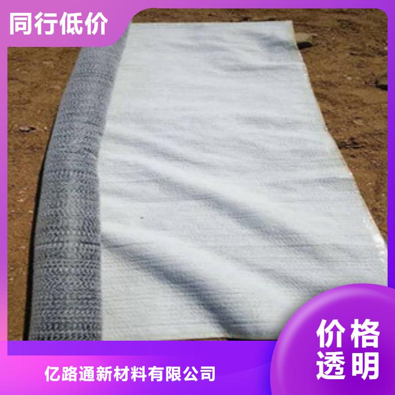 防水毯钢塑土工格栅厂家专注产品质量与服务