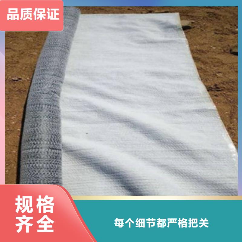防水毯钢塑土工格栅厂家专注产品质量与服务