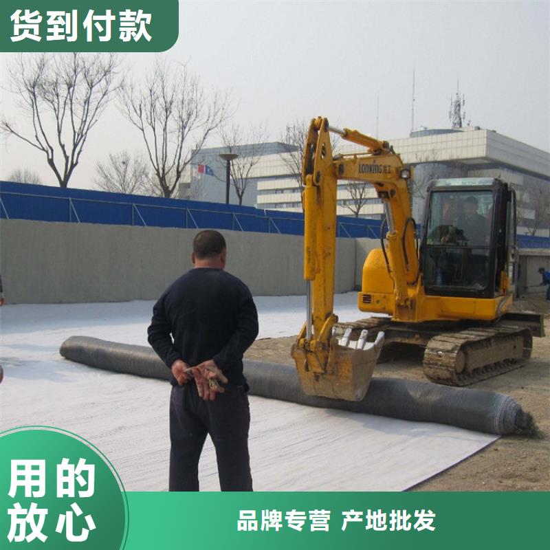 防水毯钢塑土工格栅厂家专注产品质量与服务