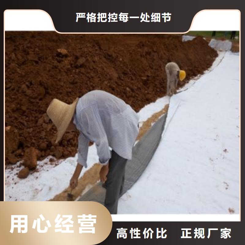防水毯钢塑土工格栅厂家专注产品质量与服务