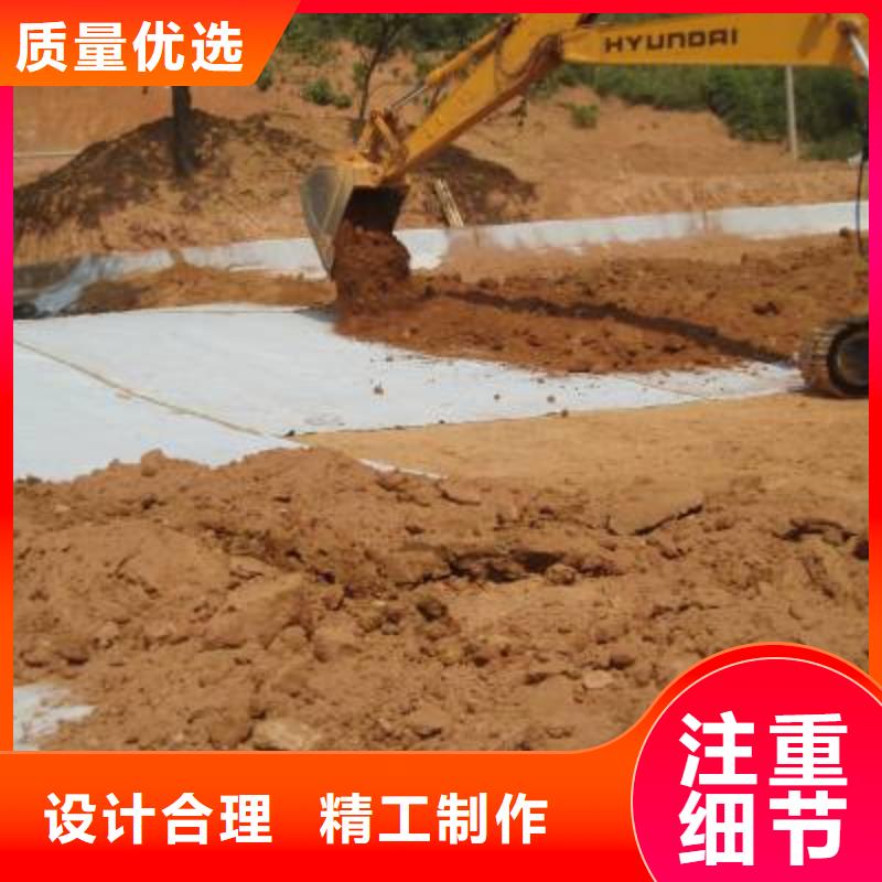 防水毯钢塑土工格栅厂家专注产品质量与服务