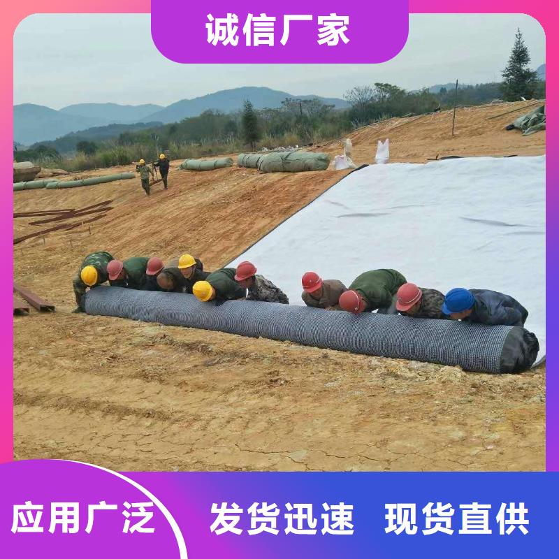 防水毯钢塑土工格栅厂家专注产品质量与服务