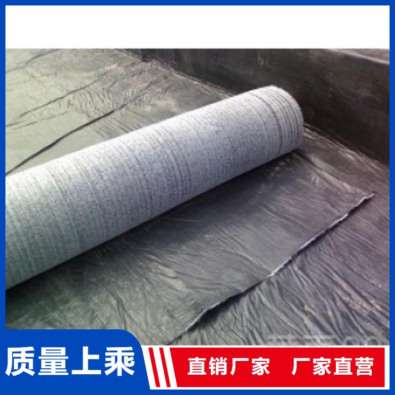 防水毯钢塑土工格栅厂家专注产品质量与服务