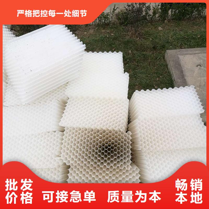 斜管填料空气净化活性炭信誉有保证