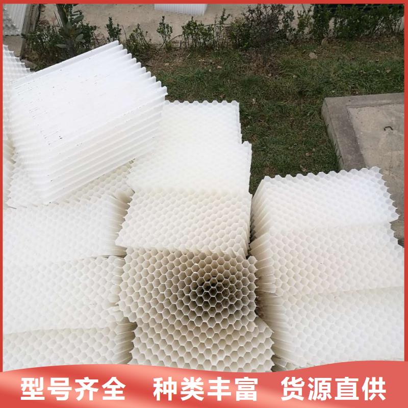 斜管填料空气净化活性炭信誉有保证