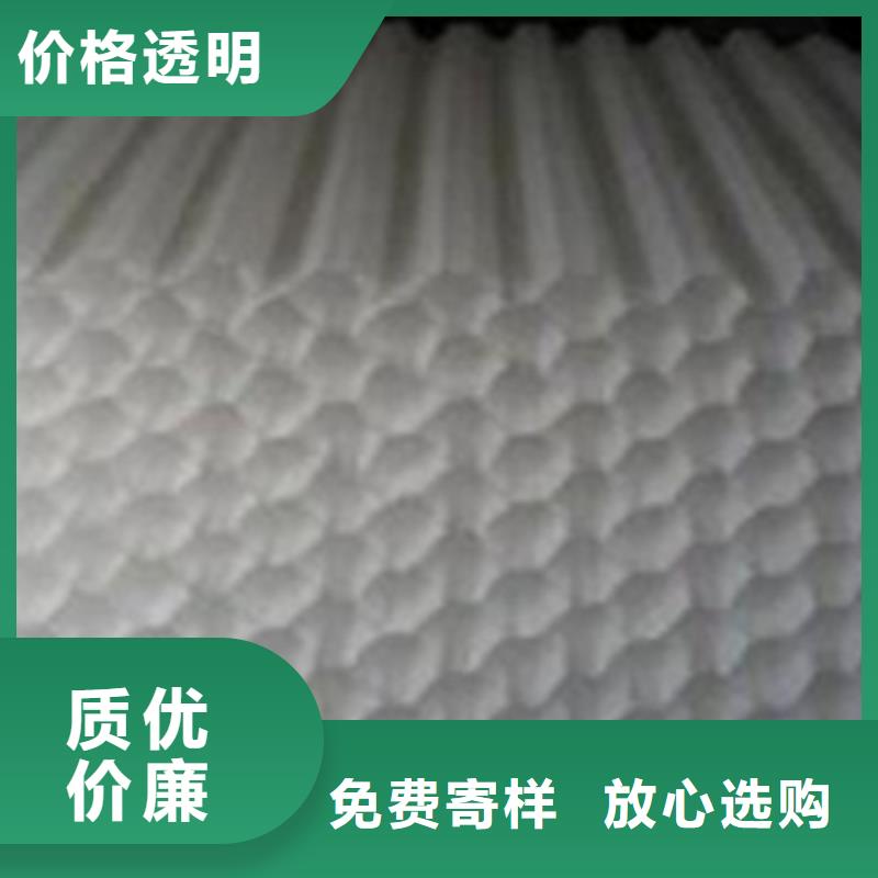 斜管填料空气净化活性炭信誉有保证