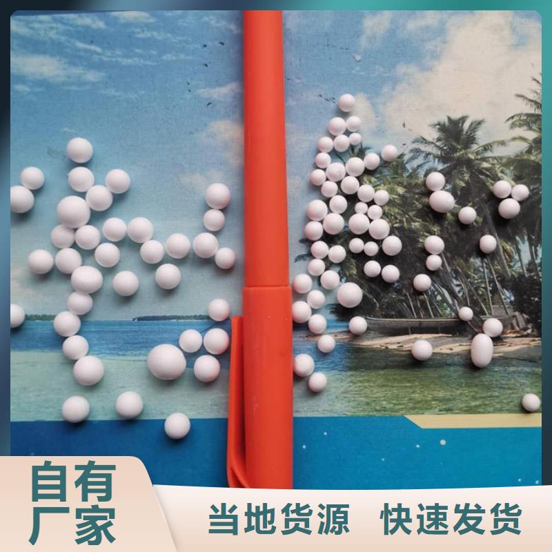 泡沫滤料鲍尔环厂家直销