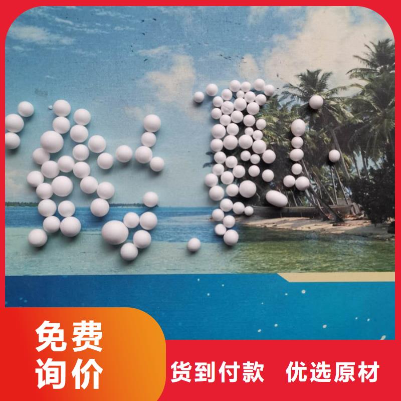 泡沫滤料鲍尔环厂家直销