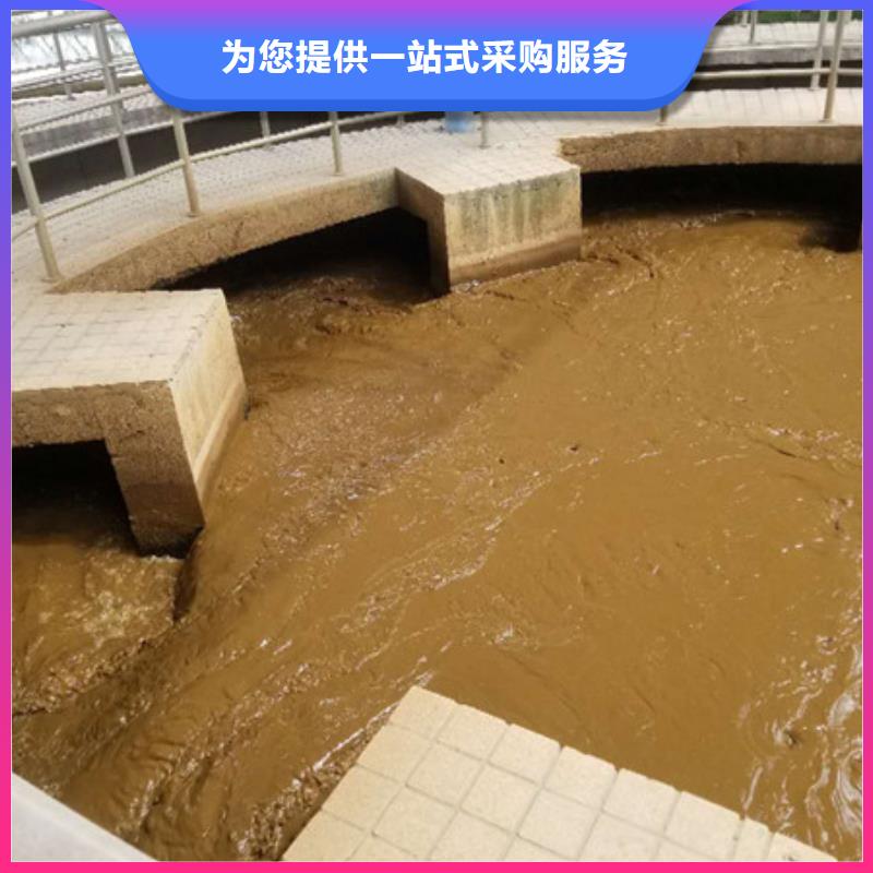 聚丙烯酰胺 碱式氯化铝生产加工