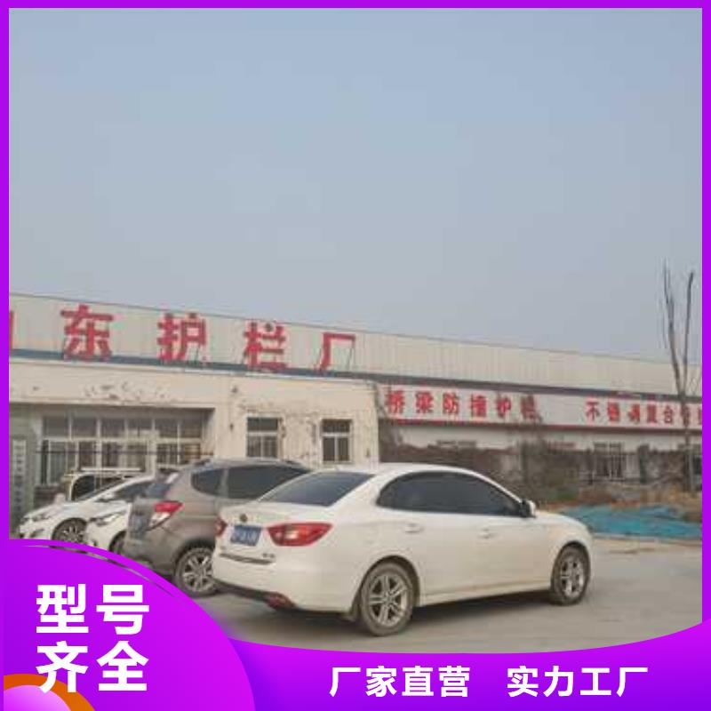 护栏M型防撞护栏生产厂家