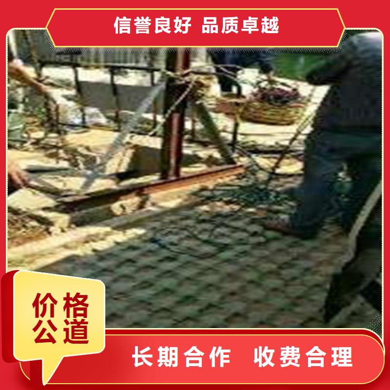 沉管,过江管道铺设优质服务
