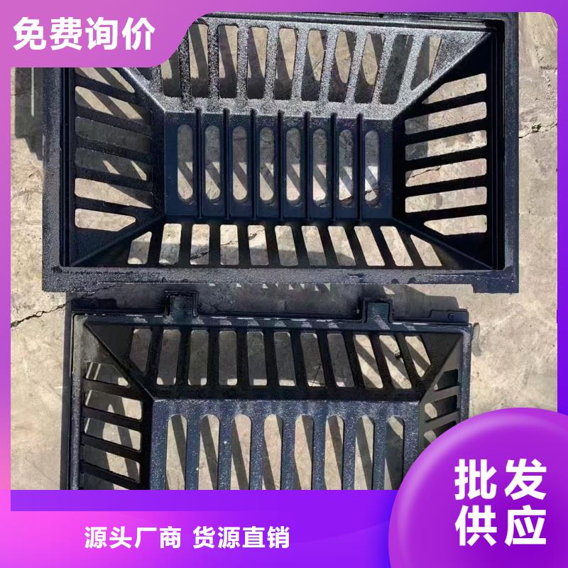 双篦子球墨铸铁建鑫金属制造厂家