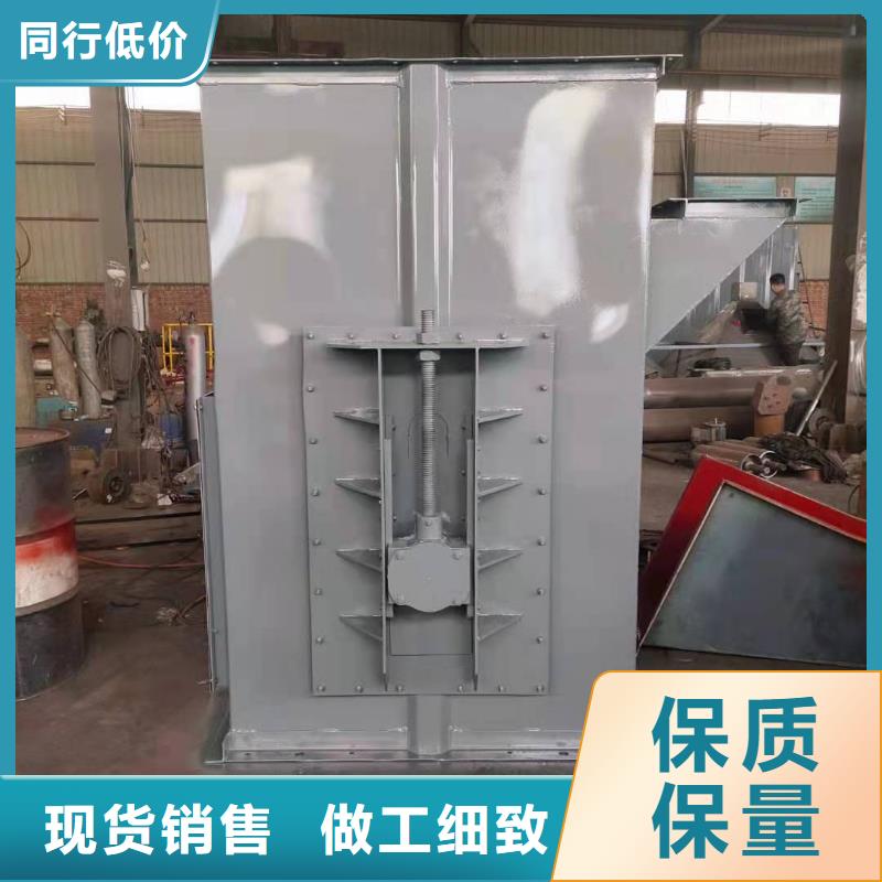 NE100链板斗式机型号齐全