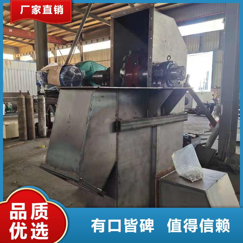 NE100链板斗式机型号齐全