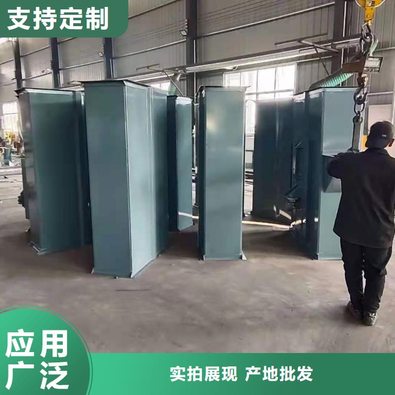 NE100链板斗式机型号齐全